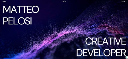Página web con currículum de Matteo Pelosi