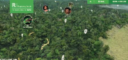 Bosque modelado en 3D en la página de inicio de la web Rainforest